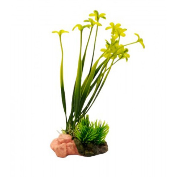 ΔΙΑΚΟΣΜΗΤΙΚΟ ΦΥΤΟ ΕΝΥΔΡΕΙΟΥ 19Χ7.5CM